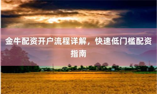 金牛配资开户流程详解,快速低门槛配资指南